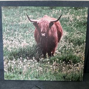 Scottish Highland Canvas